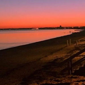 Meet your Posher, Rose